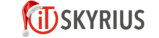IT Skyrius